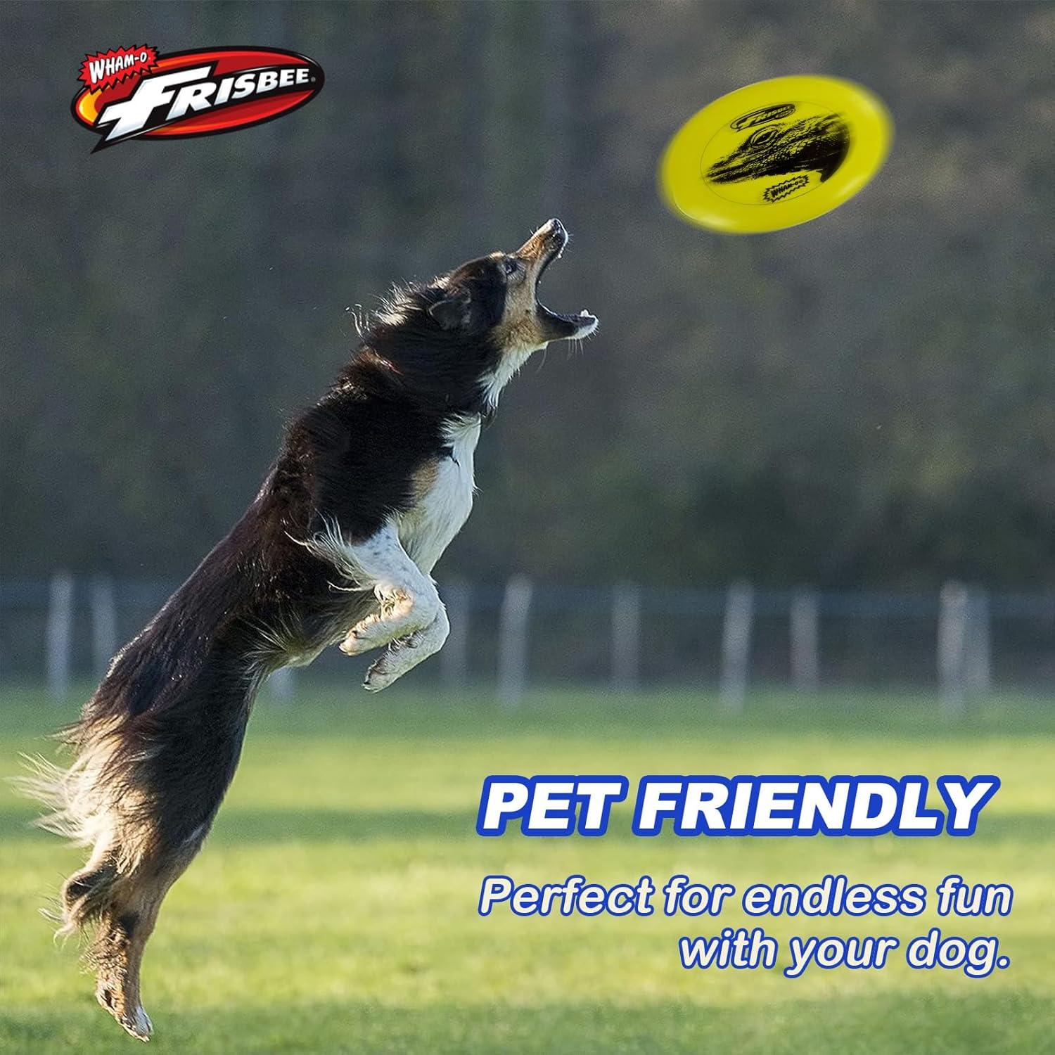 imageWhamO Frisbee Cool Flyer Flying Disc 995 Inch Sports Disc Lightweight Durable for Outdoor Beach Park Backyard Game 130g