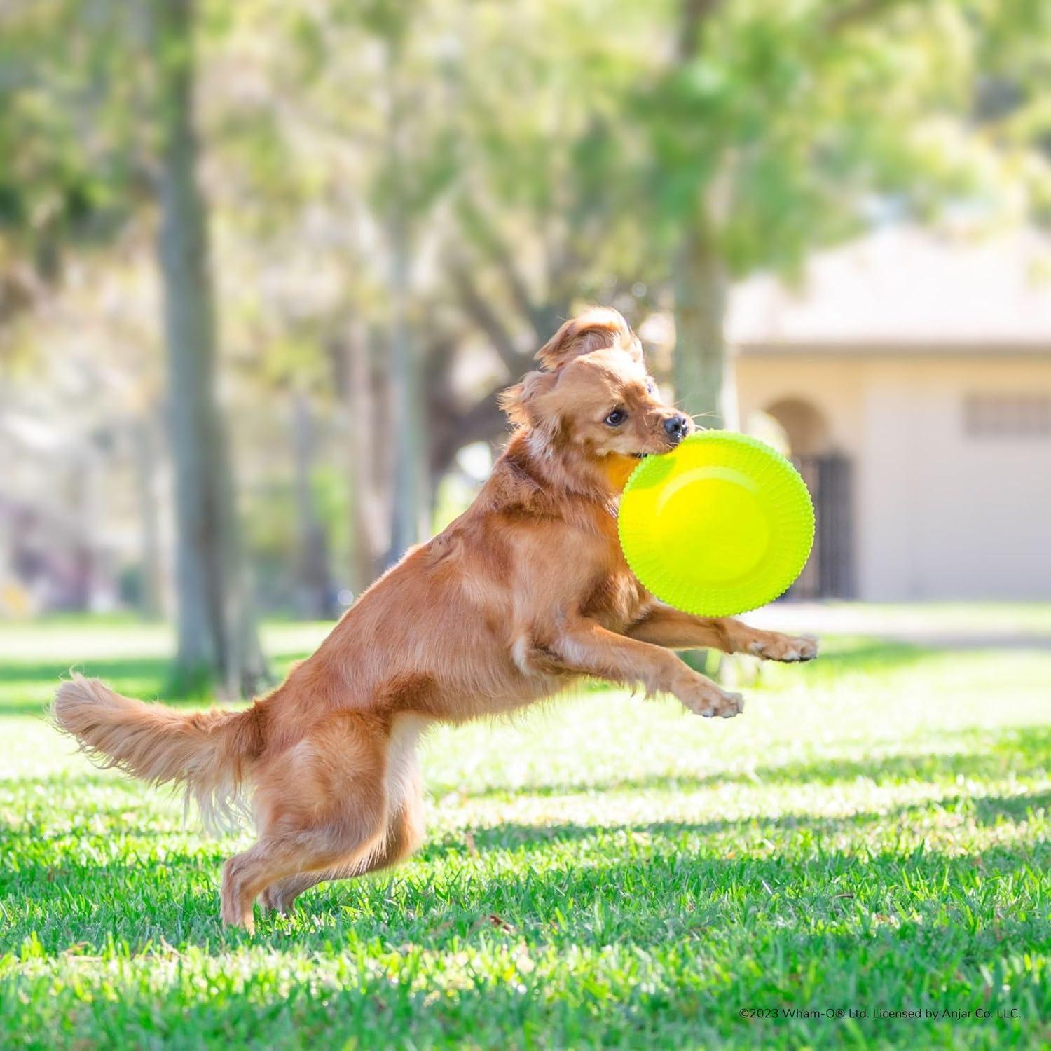 imageWhamO Pets Frisbee Gripsbee The Original Fetch Flyer Jumbo Frisbee Flying Floating Disc Dog Toy