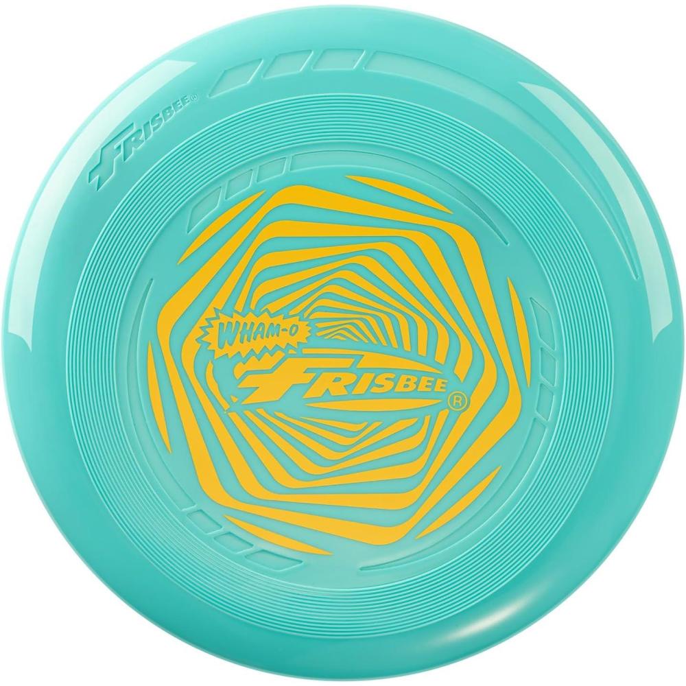 imageFrisbee Go Flying Disc 9 Inch Lightweight Sports Disc for Beginners Outdoor Beach Backyard Lawn Park Camping Family Activity Game 70gV1